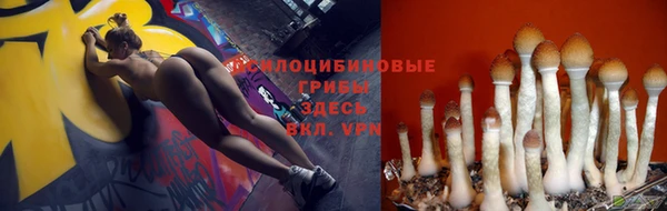 кокаин Горнозаводск